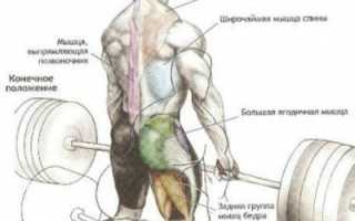 Почему болит спина от становой
