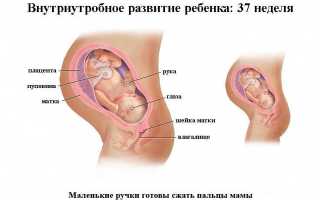 При беременности болит спина на 37 неделе беременности