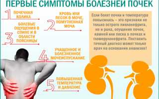 Болит спина в области почек температура