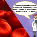 Повышенные эритроциты в моче (гематурия) у беременной