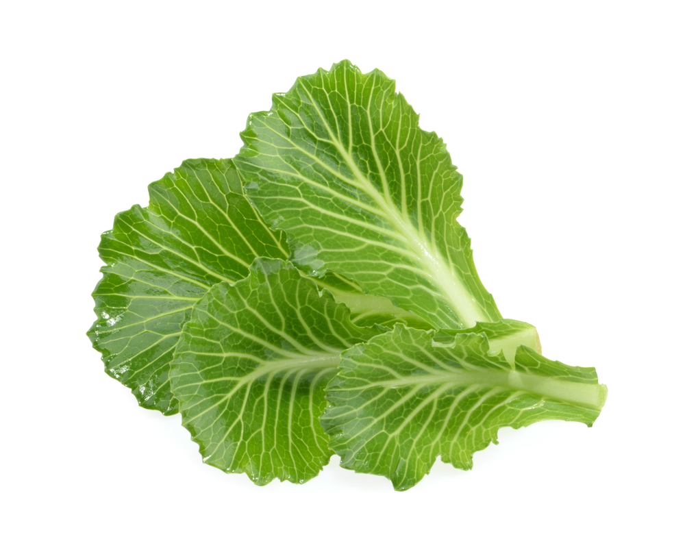 продуло спину болит чем лечить
