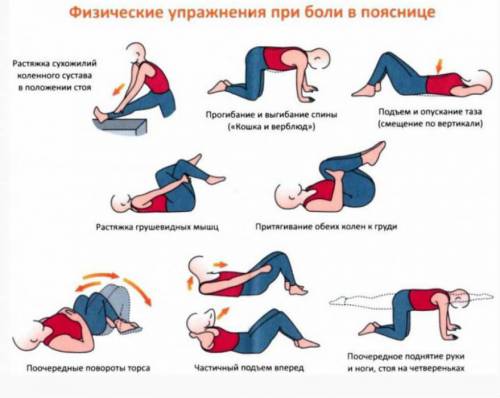 Упражнения для поясницы