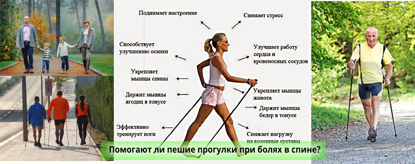 Помогают ли прогулки уменьшить боль в спине?