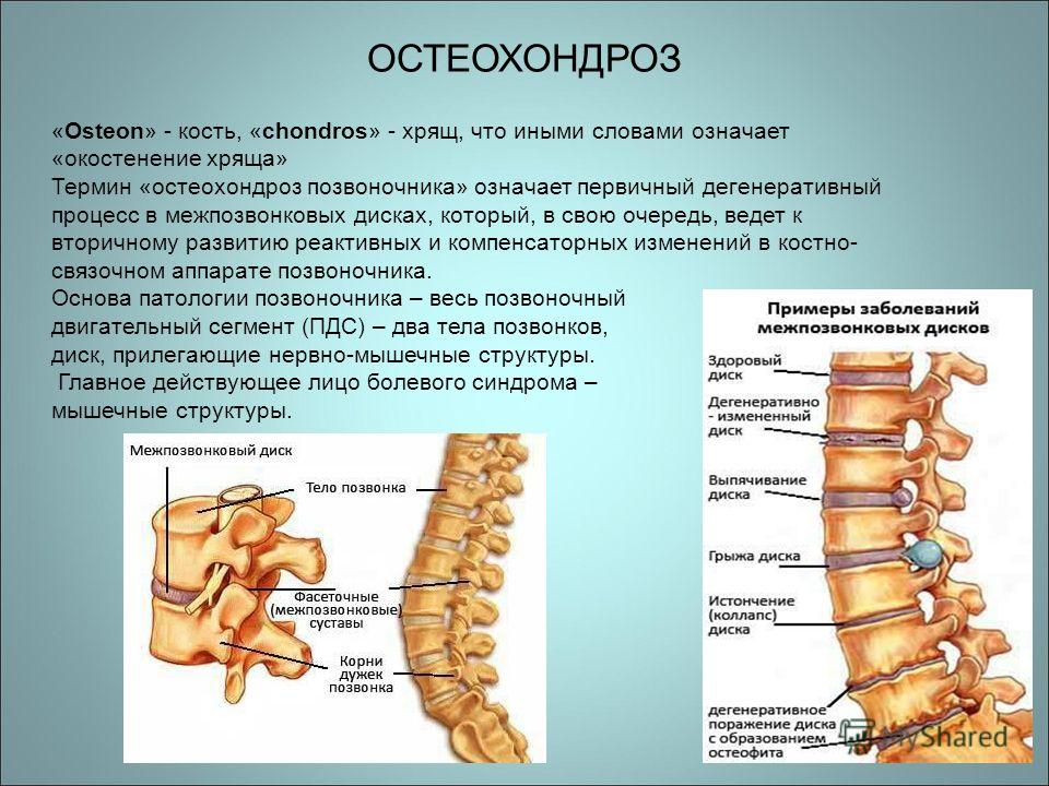 Болит под левым подреберьем отдает в спину
